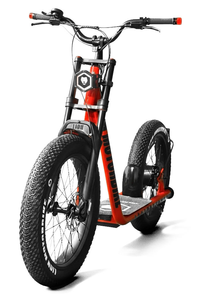 Lion Motorbike